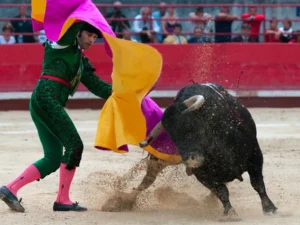 bullfight-main-