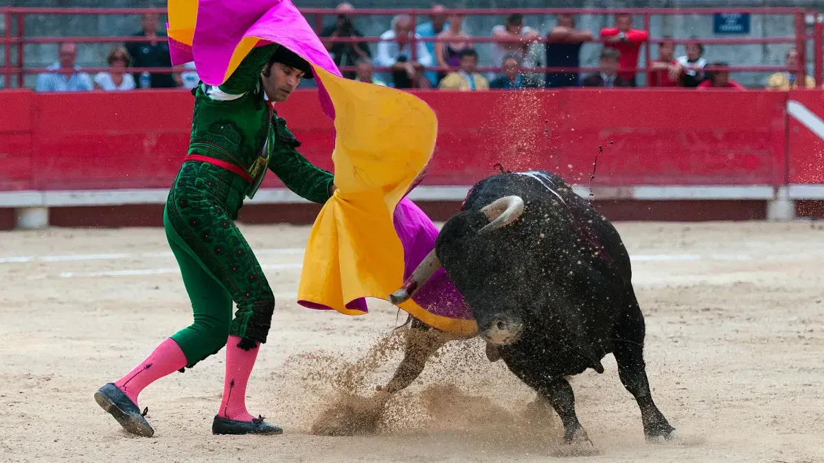 bullfight-main-